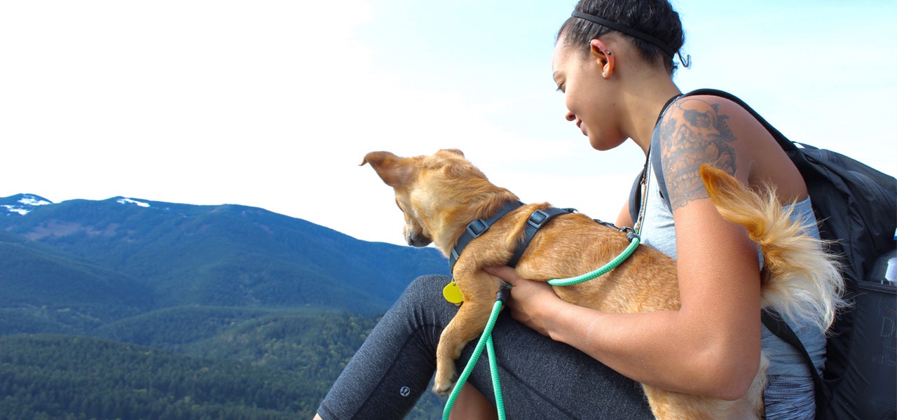 Young woman and her dog, sitting at the top of a hill and enjoying the view