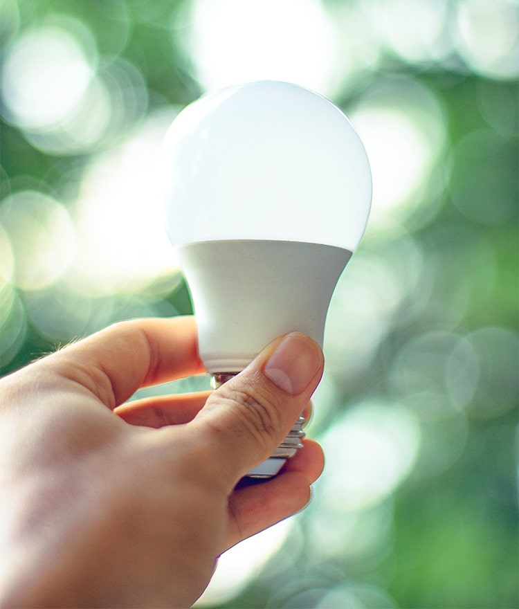 Someone holding up an LED lightbulb