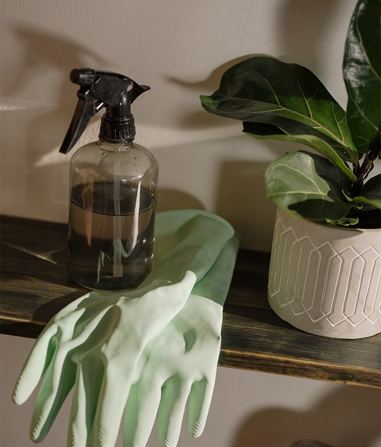 DIY cleaning solution and gloves on a wooden shelf