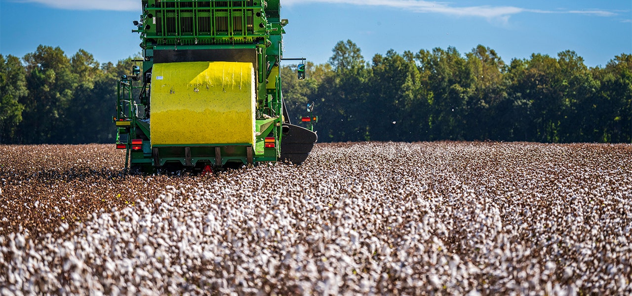 farming equipment driving through organic cotton field